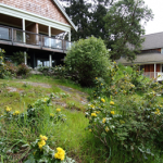 Back - B&B & House