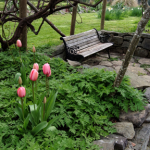 Bench sitting area